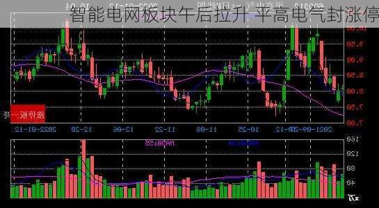 智能电网板块午后拉升 平高电气封涨停