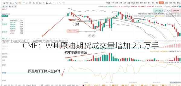 CME：WTI 原油期货成交量增加 25 万手