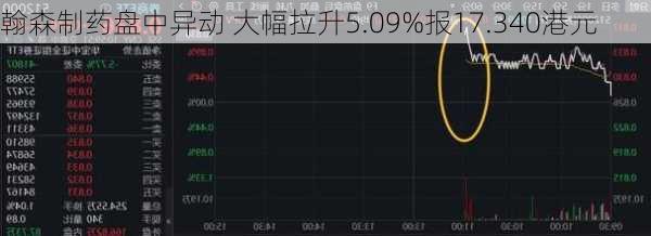 翰森制药盘中异动 大幅拉升5.09%报17.340港元