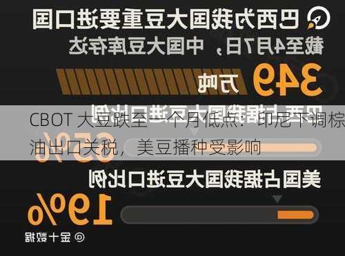 CBOT 大豆跌至一个月低点：印尼下调棕油出口关税，美豆播种受影响