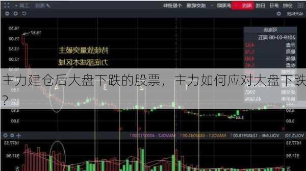 主力建仓后大盘下跌的股票，主力如何应对大盘下跌？