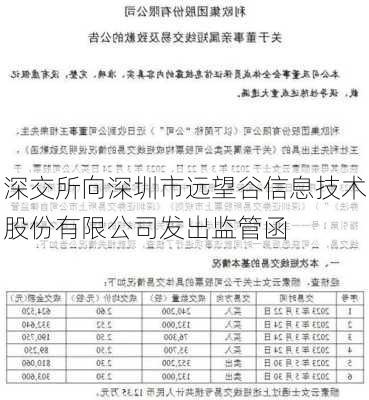 深交所向深圳市远望谷信息技术股份有限公司发出监管函