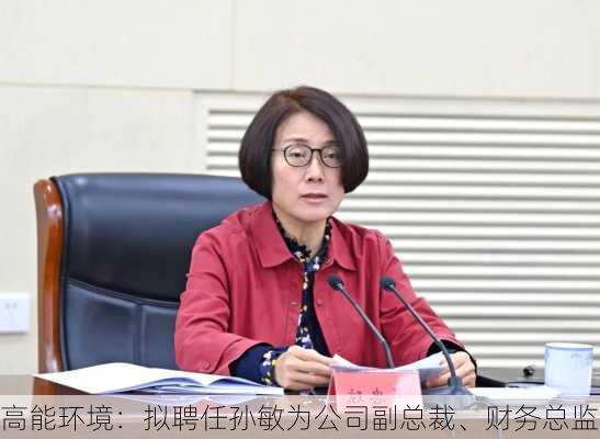 高能环境：拟聘任孙敏为公司副总裁、财务总监