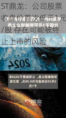 ST鼎龙：公司股票收盘价首次低于1元/股 存在可能被终止上市的风险