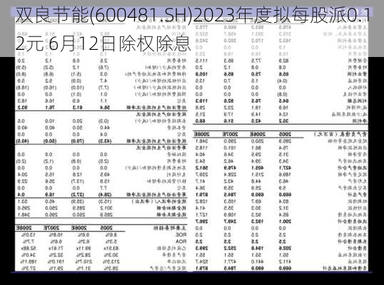 双良节能(600481.SH)2023年度拟每股派0.12元 6月12日除权除息