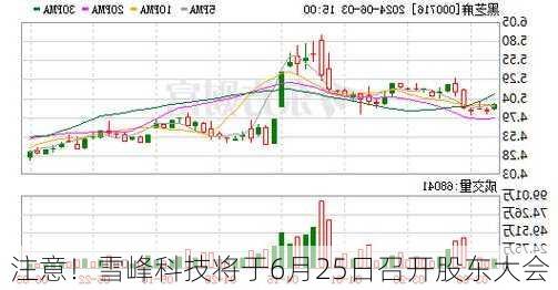 注意！雪峰科技将于6月25日召开股东大会