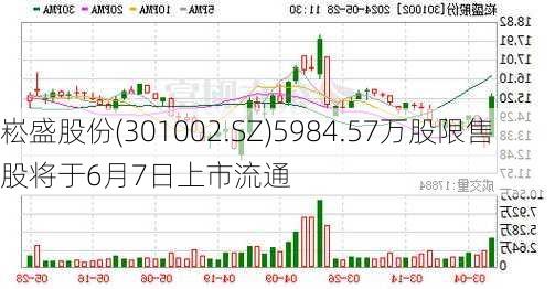 崧盛股份(301002.SZ)5984.57万股限售股将于6月7日上市流通