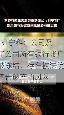 *ST宁科：公司及子公司所有银行帐户被冻结，存在被法院宣告破产的风险