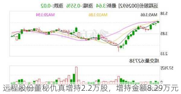 远程股份董秘仇真增持2.2万股，增持金额8.29万元