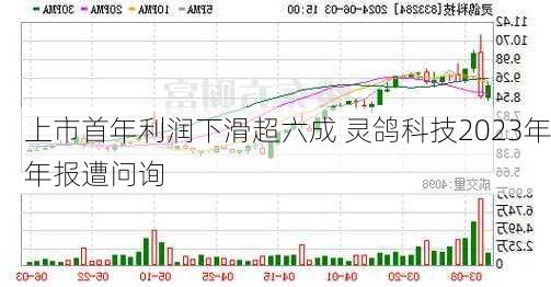 上市首年利润下滑超六成 灵鸽科技2023年年报遭问询