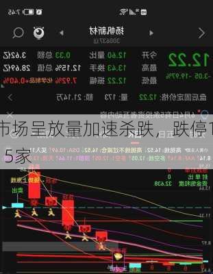 市场呈放量加速杀跌，跌停115家