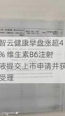 智云健康早盘涨超4% 维生素B6注射液提交上市申请并获受理