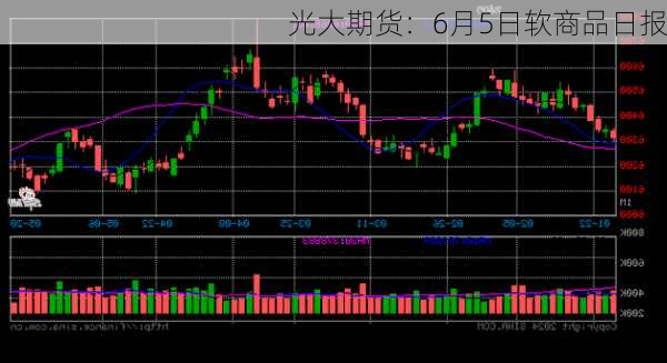 光大期货：6月5日软商品日报