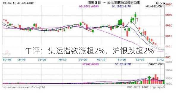 午评：集运指数涨超2%，沪银跌超2%