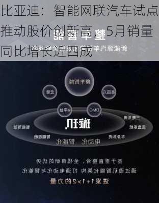 比亚迪：智能网联汽车试点推动股价创新高，5月销量同比增长近四成