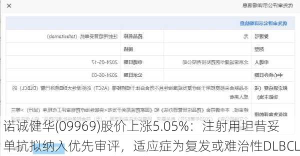 诺诚健华(09969)股价上涨5.05%：注射用坦昔妥单抗拟纳入优先审评，适应症为复发或难治性DLBCL