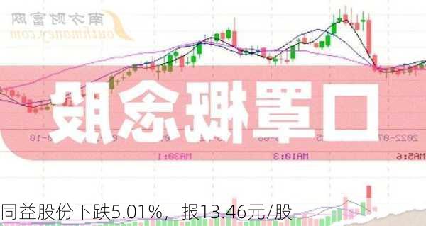 同益股份下跌5.01%，报13.46元/股