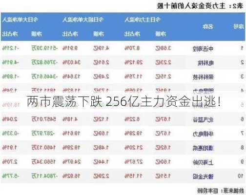 两市震荡下跌 256亿主力资金出逃！