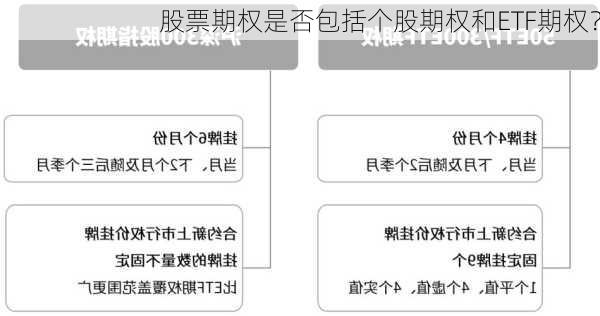 股票期权是否包括个股期权和ETF期权？