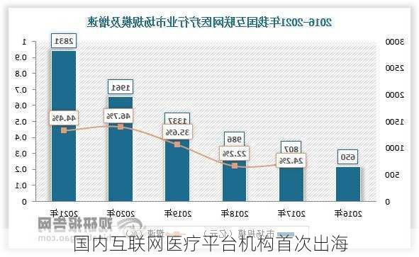 国内互联网医疗平台机构首次出海