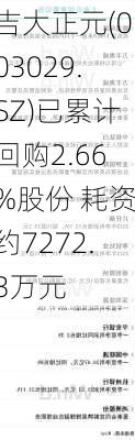 吉大正元(003029.SZ)已累计回购2.66%股份 耗资约7272.3万元