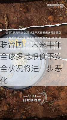 联合国：未来半年全球多地粮食不安全状况将进一步恶化