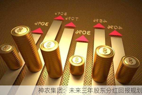 神农集团：未来三年股东分红回报规划