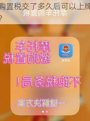 购置税交了多久后可以上牌？