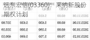 远东宏信(03360)：采纳新股份期权计划