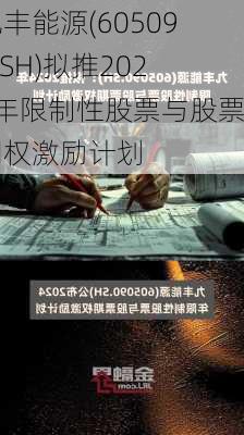 九丰能源(605090.SH)拟推2024年限制性股票与股票期权激励计划