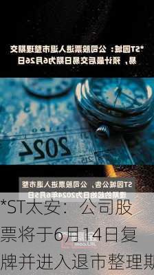 *ST太安：公司股票将于6月14日复牌并进入退市整理期