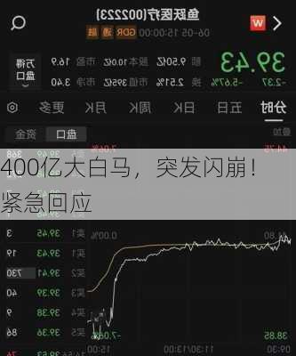 400亿大白马，突发闪崩！紧急回应