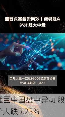 理臣中国盘中异动 股价大跌5.23%