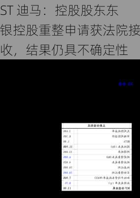 ST 迪马：控股股东东银控股重整申请获法院接收，结果仍具不确定性