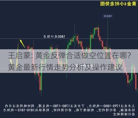 王启蒙: 黄金反弹合适做空位置在哪？黄金最新行情走势分析及操作建议