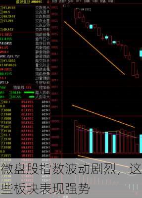 微盘股指数波动剧烈，这些板块表现强势