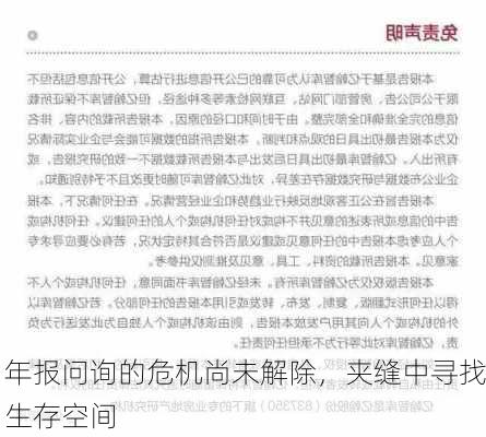 年报问询的危机尚未解除，夹缝中寻找生存空间