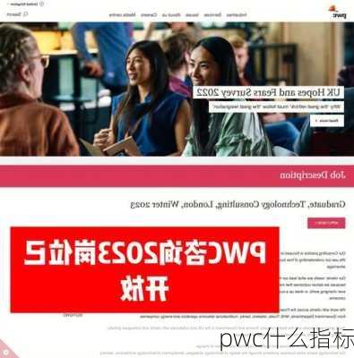 pwc什么指标