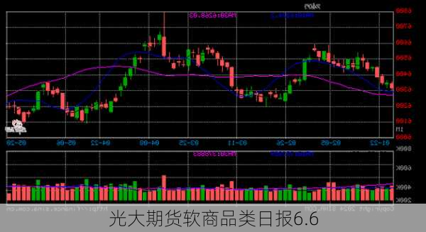 光大期货软商品类日报6.6