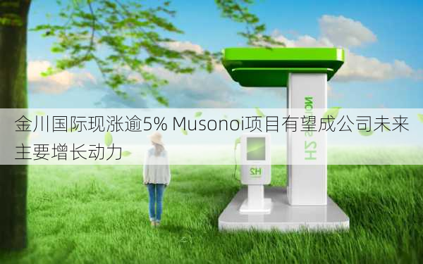 金川国际现涨逾5% Musonoi项目有望成公司未来主要增长动力