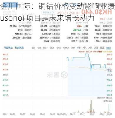 金川国际：铜钴价格变动影响业绩，Musonoi 项目是未来增长动力