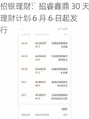 招银理财：招睿鑫鼎 30 天理财计划 6 月 6 日起发行