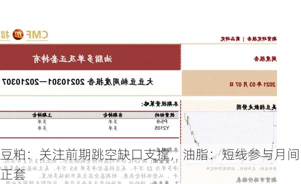 豆粕：关注前期跳空缺口支撑，油脂：短线参与月间正套