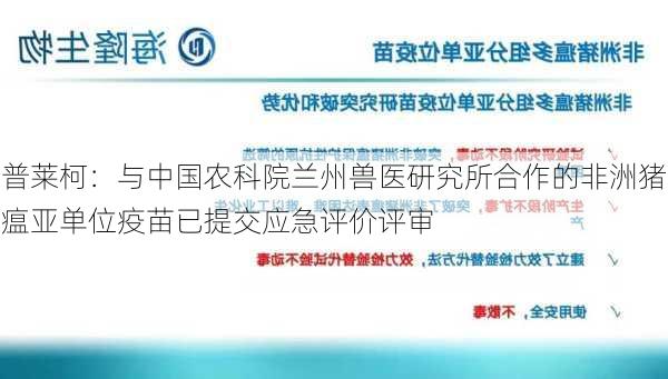 普莱柯：与中国农科院兰州兽医研究所合作的非洲猪瘟亚单位疫苗已提交应急评价评审