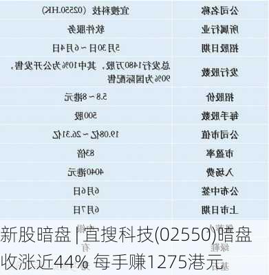 新股暗盘 | 宜搜科技(02550)暗盘收涨近44% 每手赚1275港元