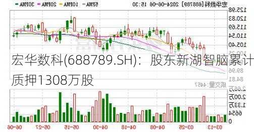 宏华数科(688789.SH)：股东新湖智脑累计质押1308万股