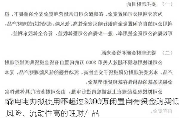 森电电力拟使用不超过3000万闲置自有资金购买低风险、流动性高的理财产品