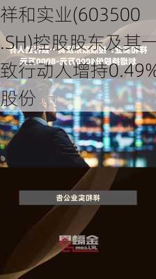 祥和实业(603500.SH)控股股东及其一致行动人增持0.49%股份