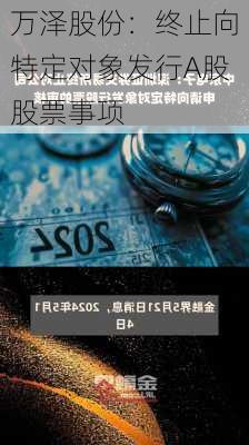 万泽股份：终止向特定对象发行A股股票事项