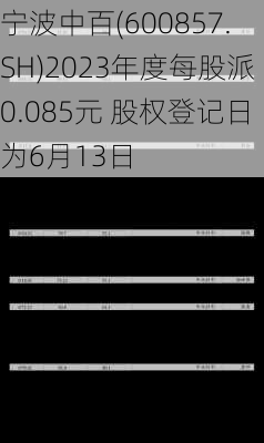 宁波中百(600857.SH)2023年度每股派0.085元 股权登记日为6月13日